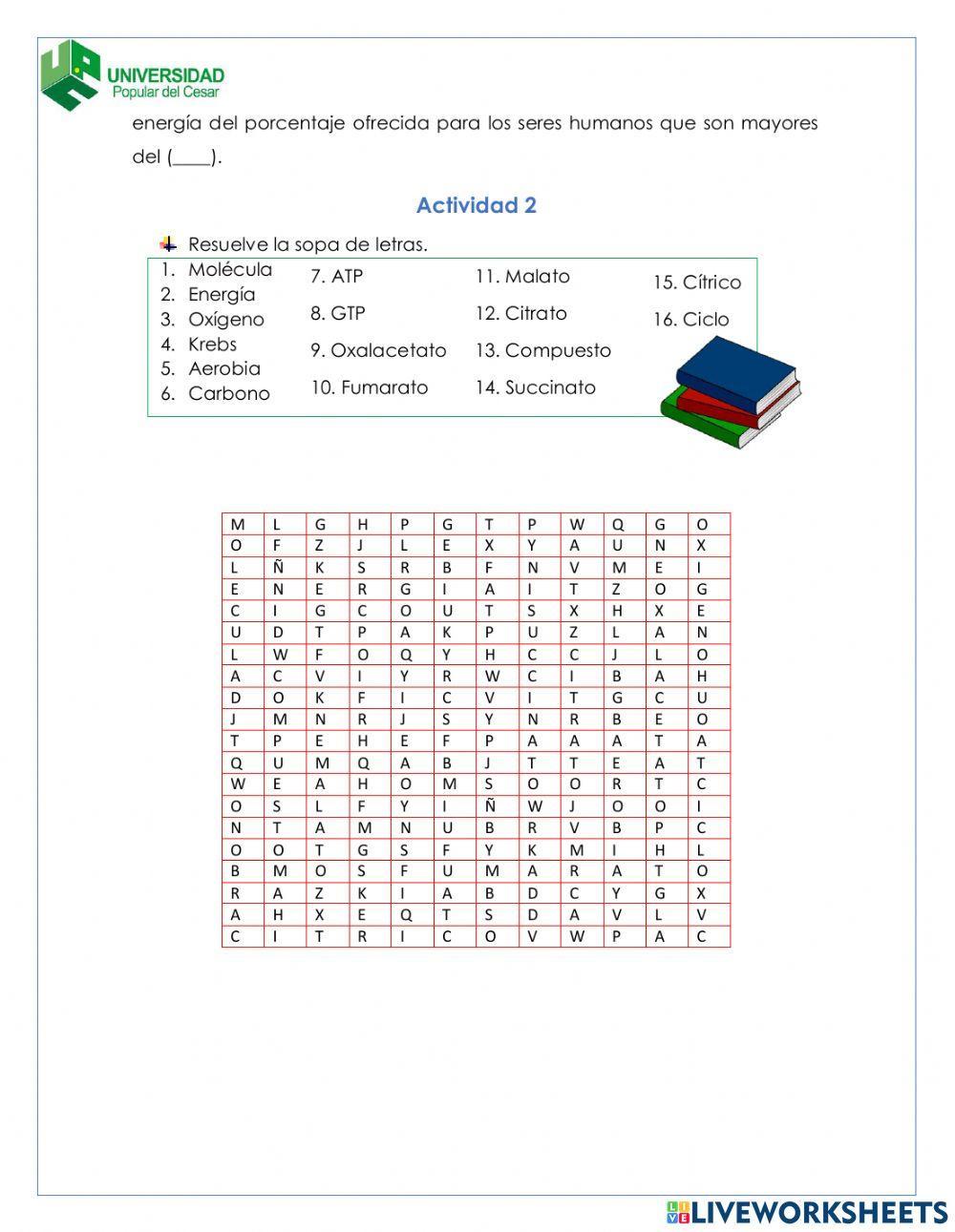 Actividad ciclo de krebs