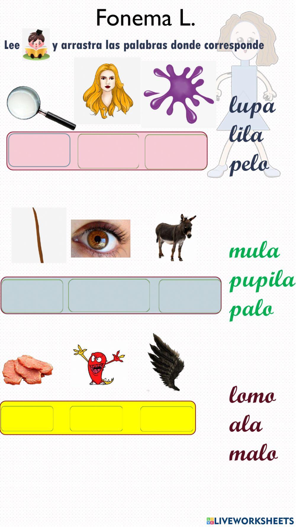 Lee y arrastra las palabrasa donde corresponde.