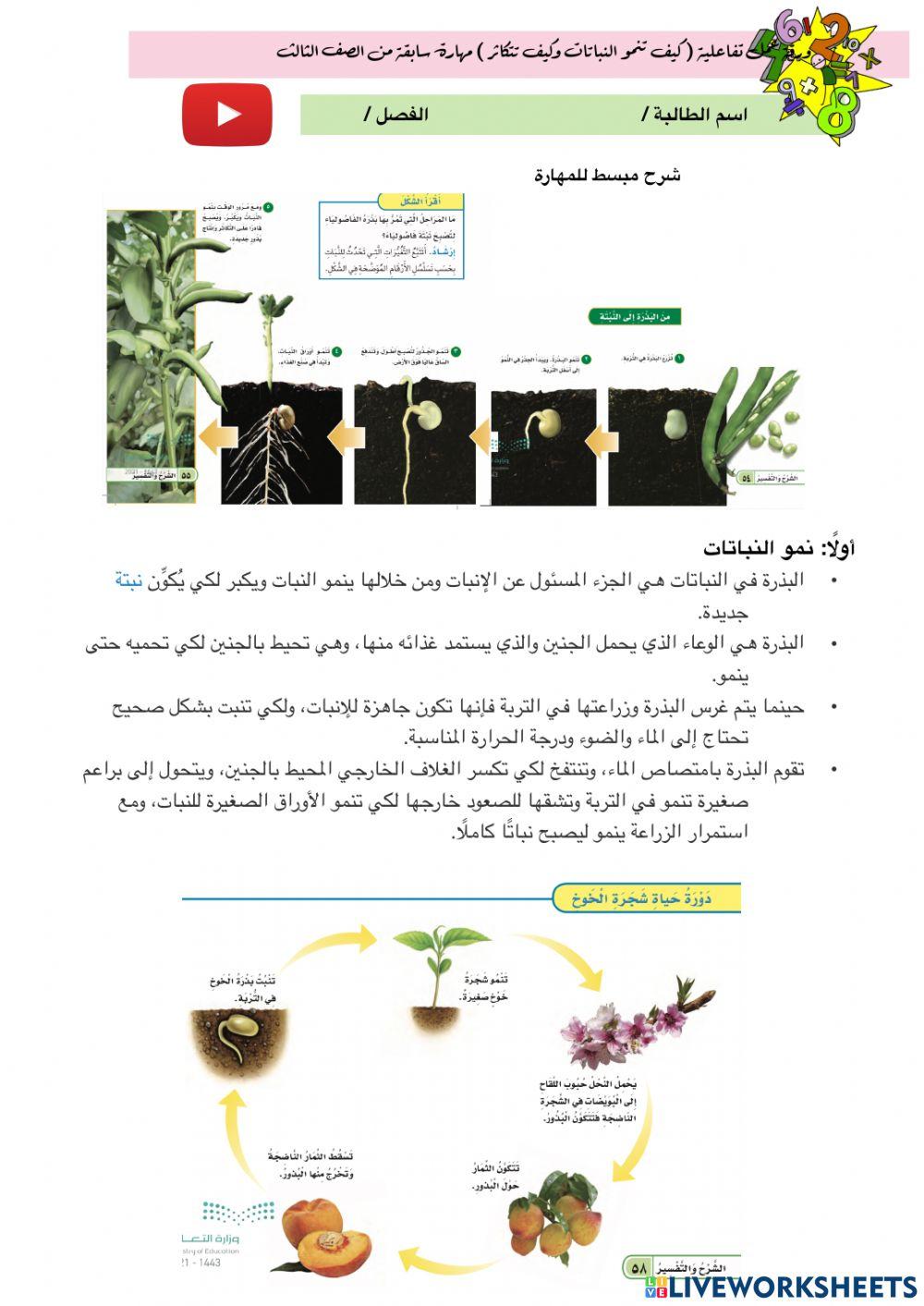 كيف تنمو النباتات و كيف تتكاثر