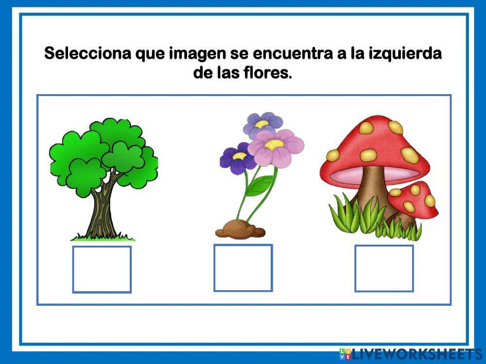 Contar y noción de espacio