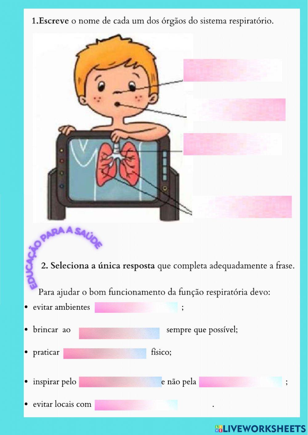 Sistema respiratório