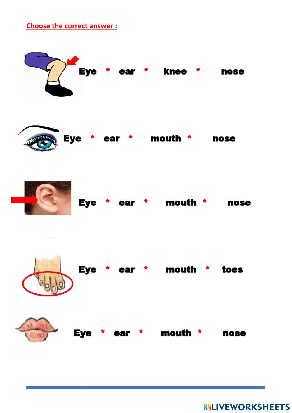 fourth grade training 1