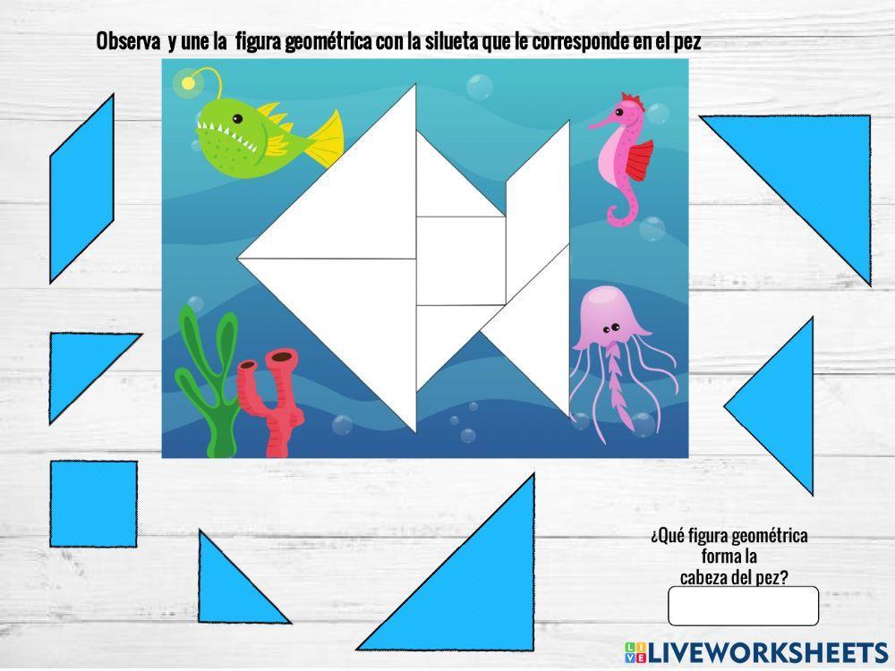 Composición y descomposición de configuraciones geométricas