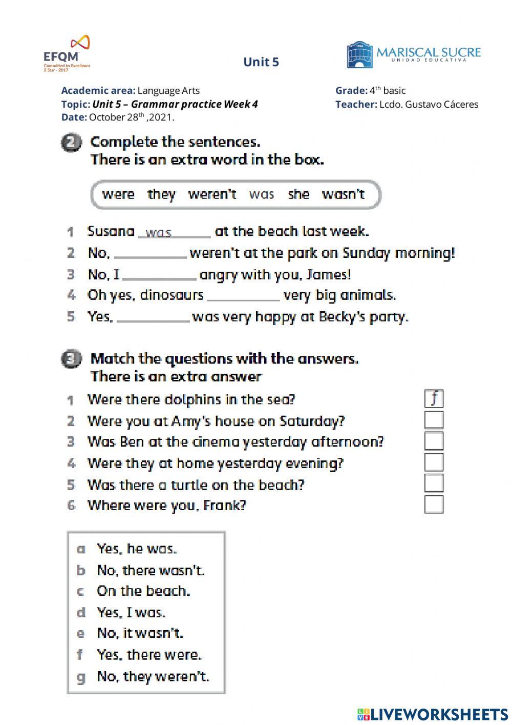 Grammar focus unit 5