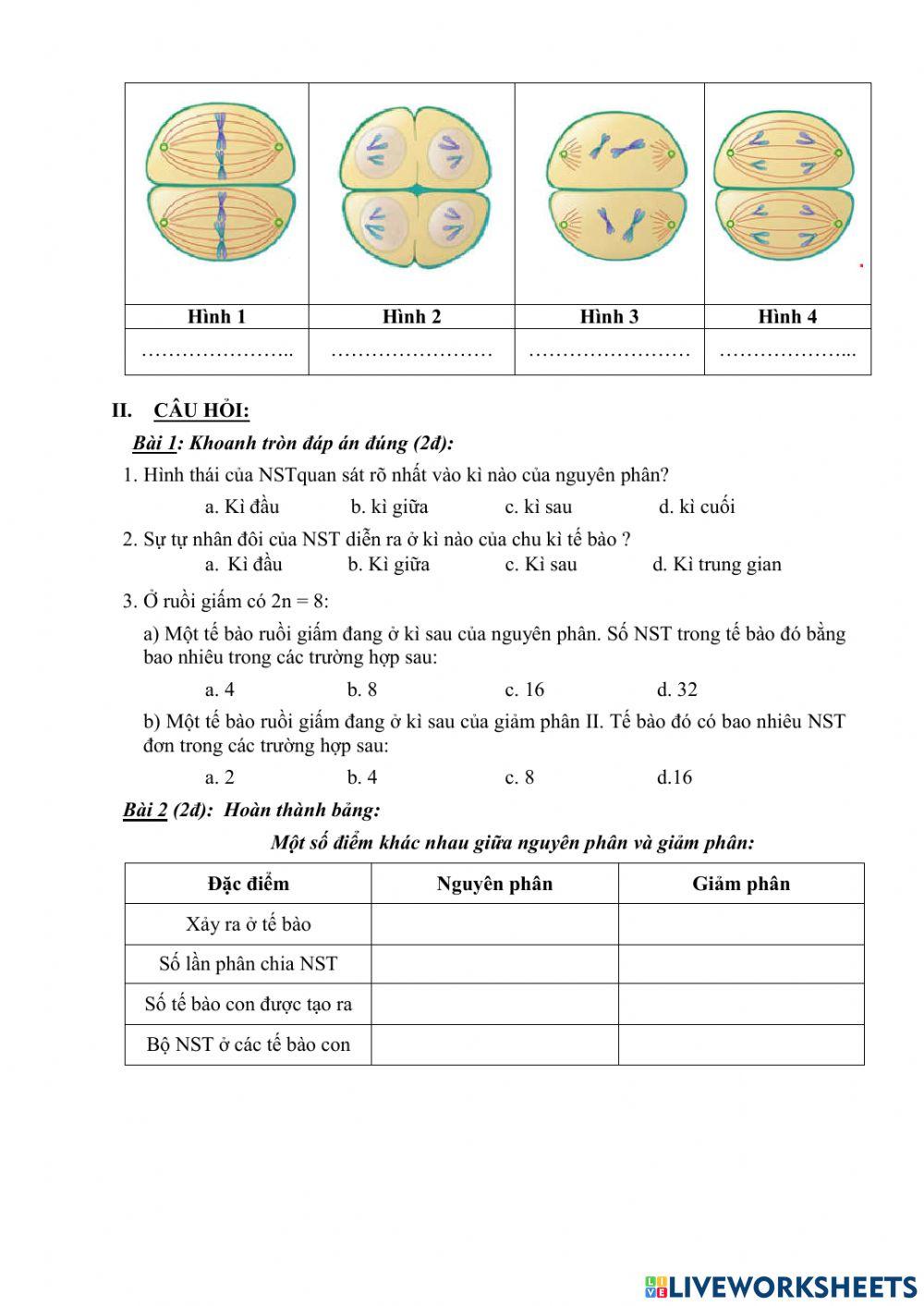 Bài 14: THỰC HÀNH QUAN SÁT HÌNH THÁI NST