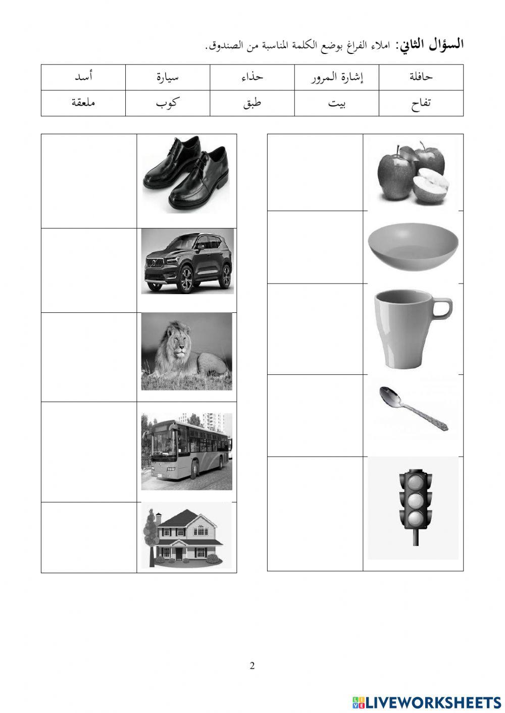 العدد و المفردات