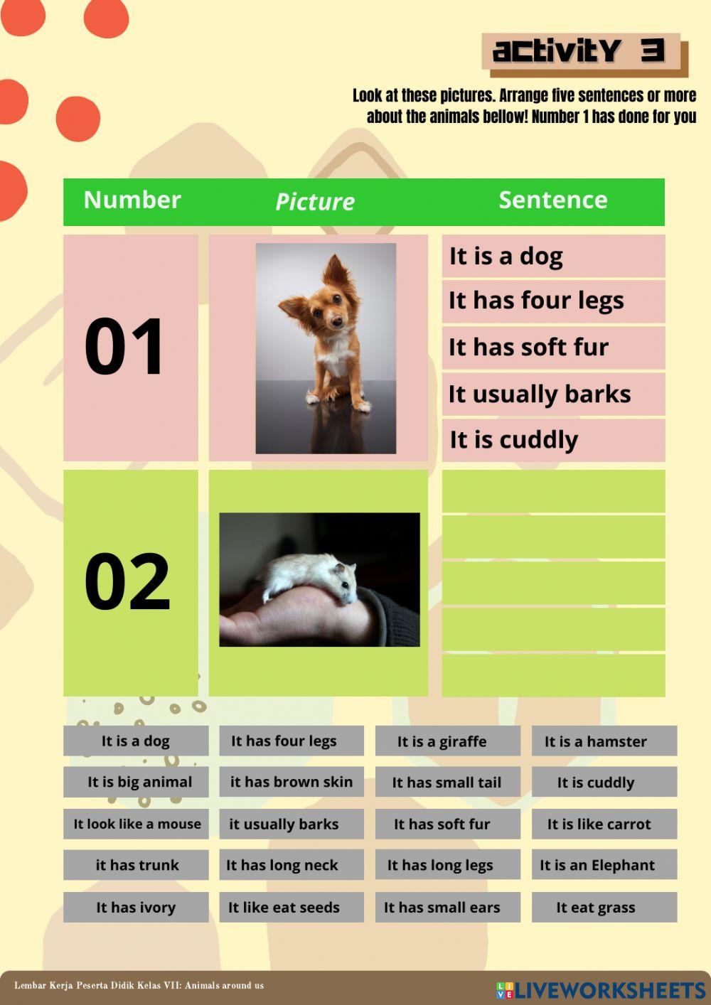 LKPD Animals around us - Activity 3