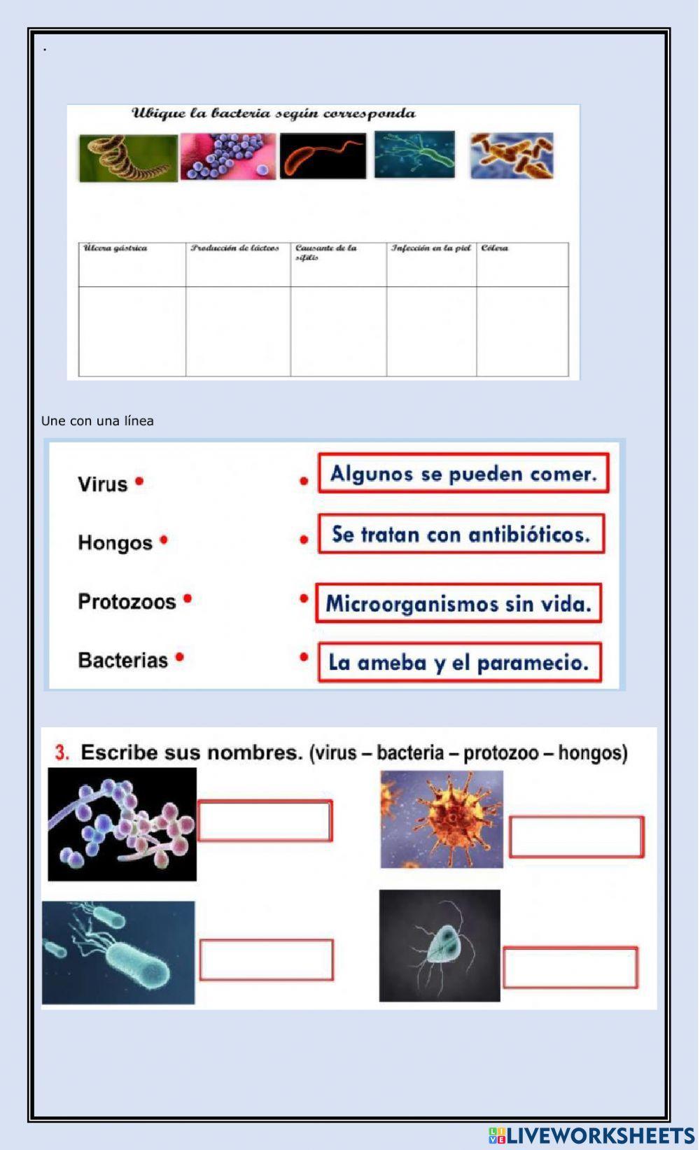 Recuperación del primer parcial
