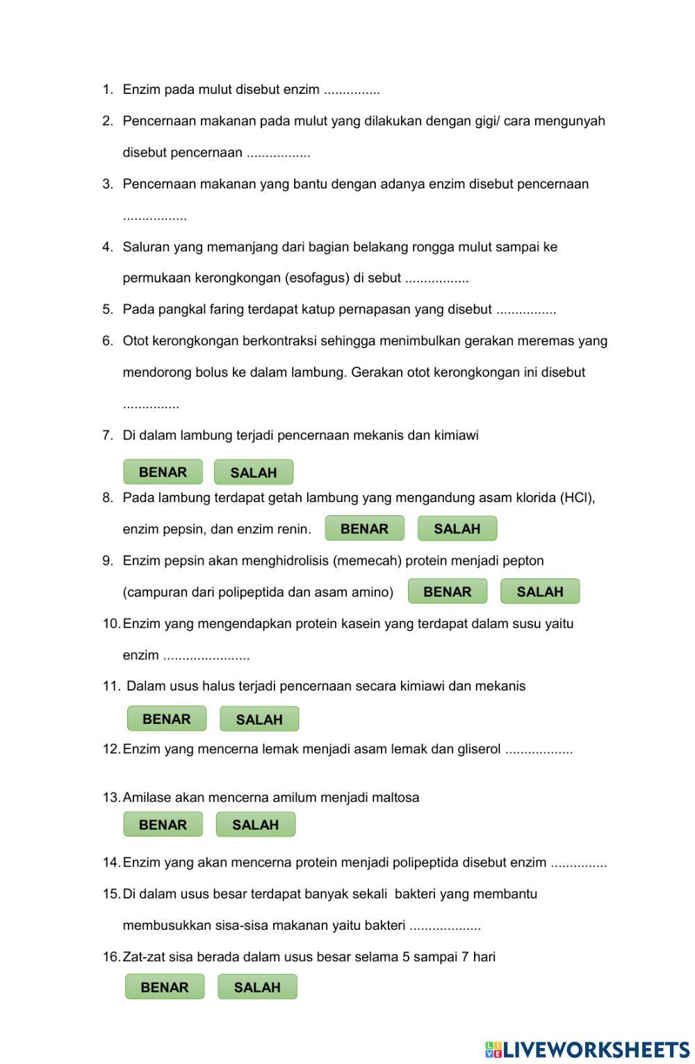 LKPD Pencernaan Utama Isian