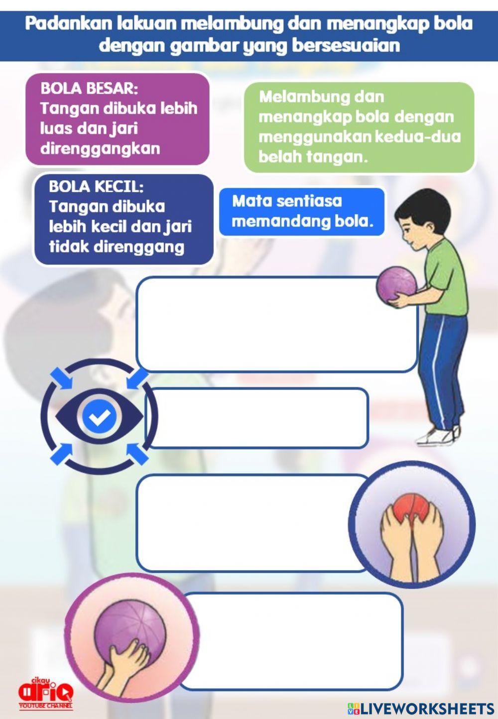 Pjk tahun 1 : lambung dan tangkap