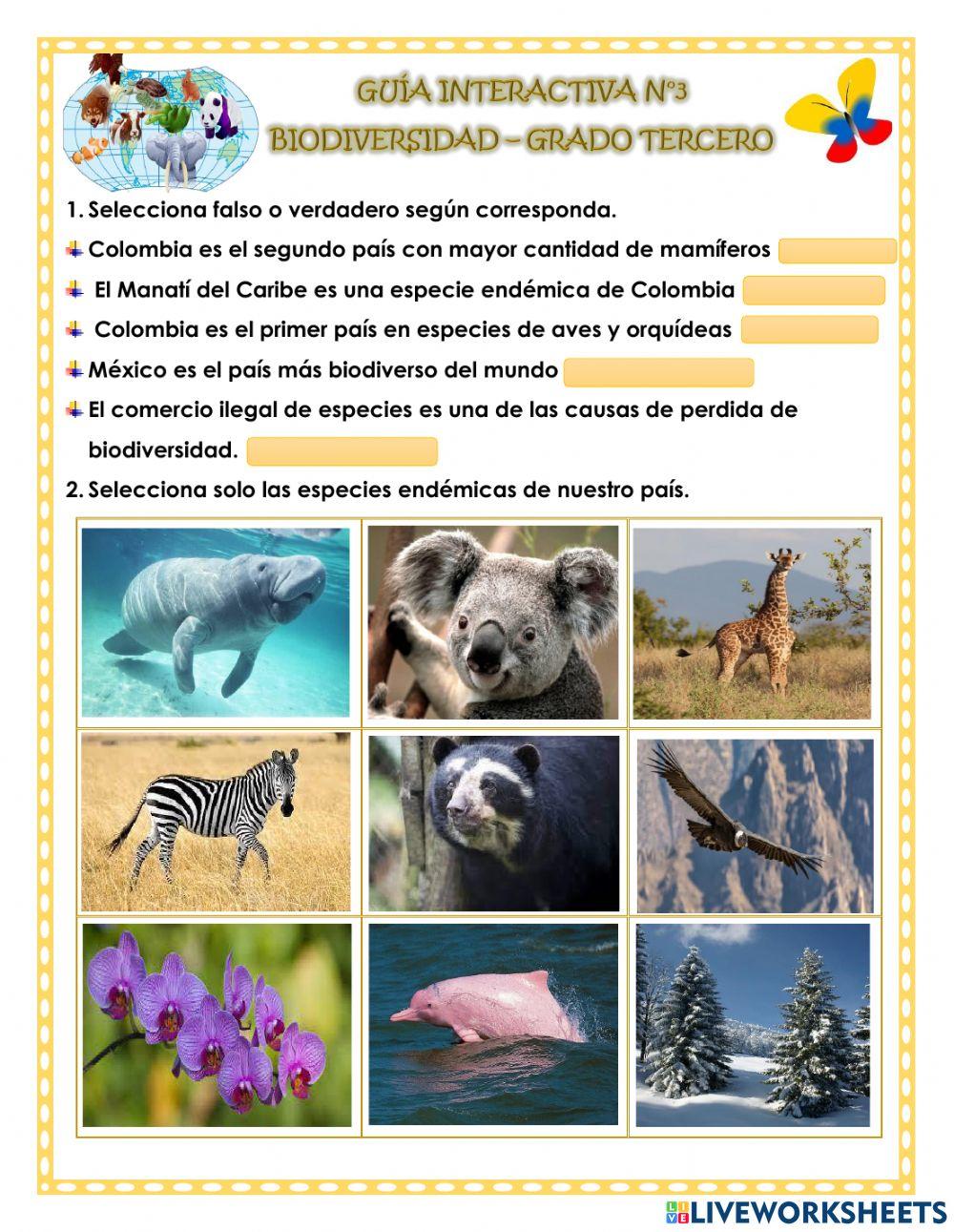 BIODIVERSIDAD