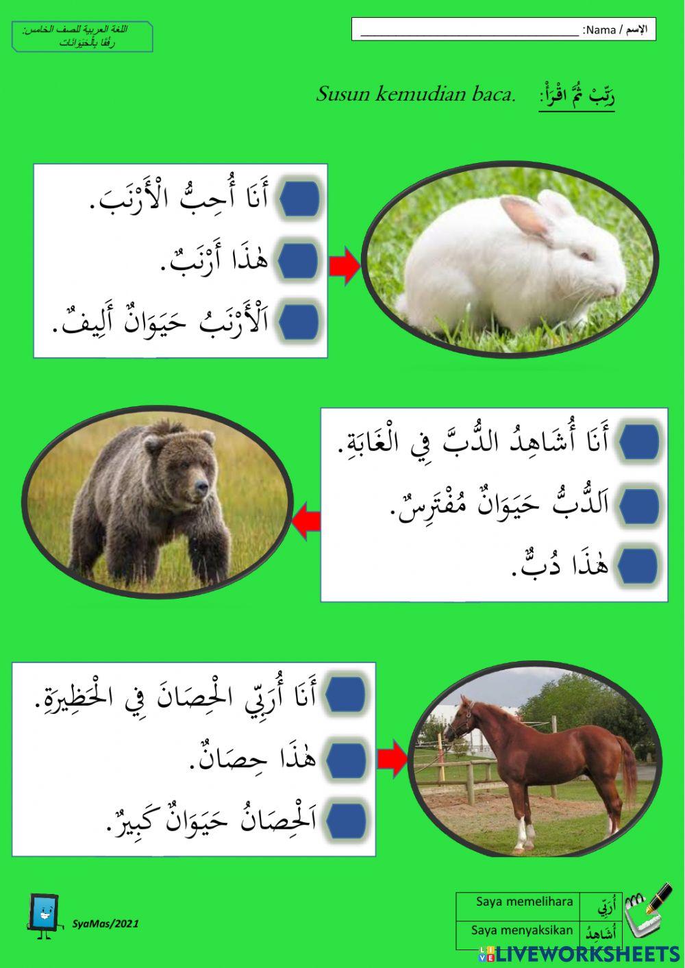 رفقا بالحيوانات