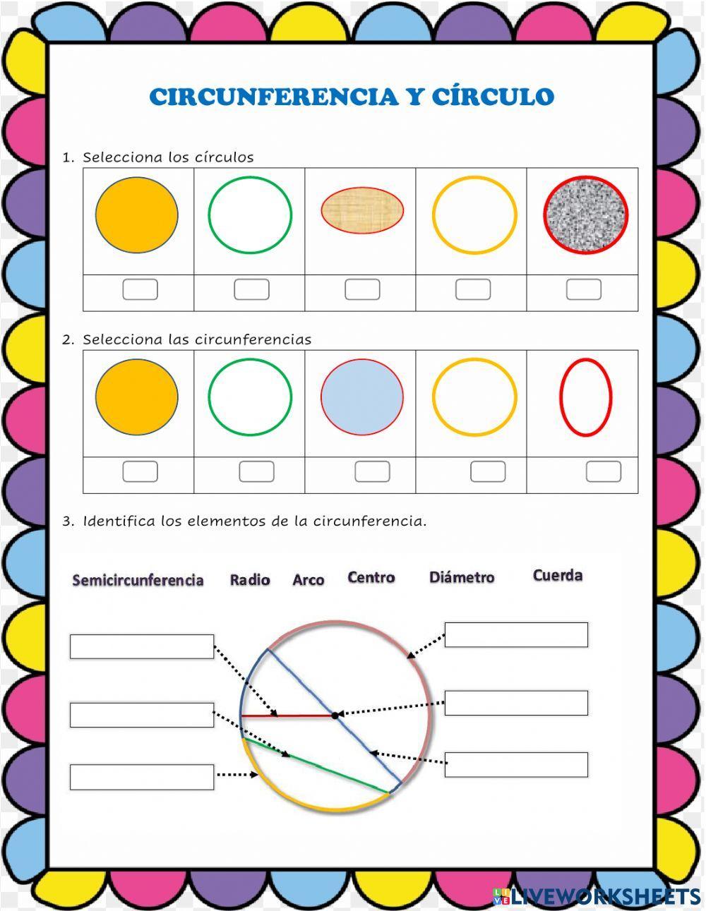 Circunferencia y círculo