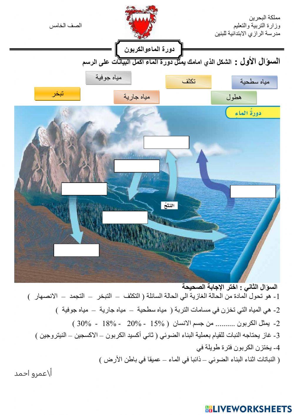 دورة الماء والكربون