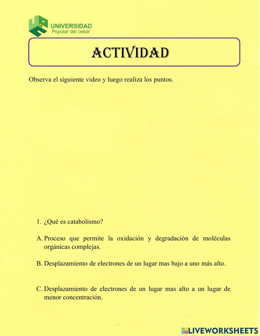 Actividades transporte de electrones y fosforilacion
