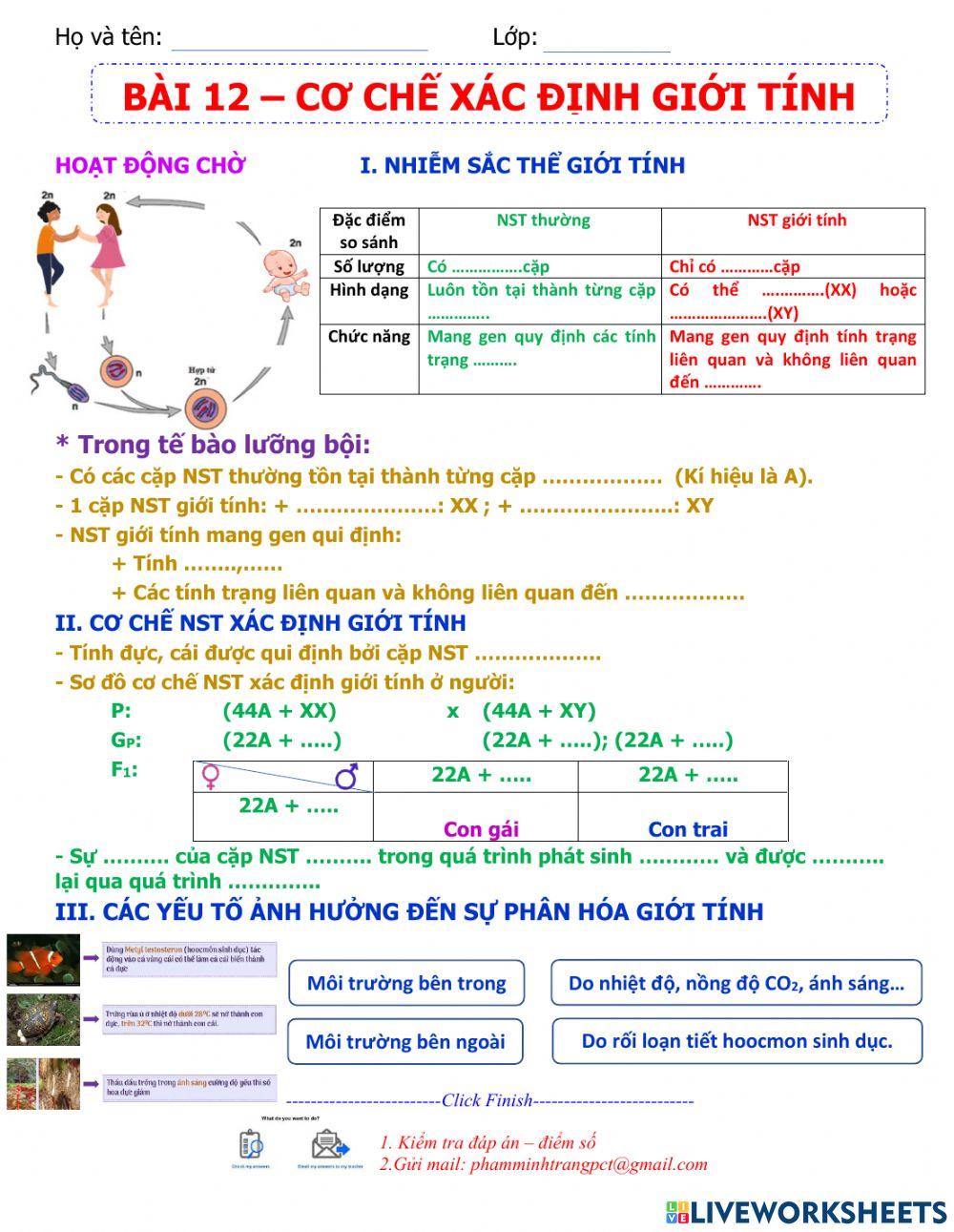 Cơ chế xác định giới tính