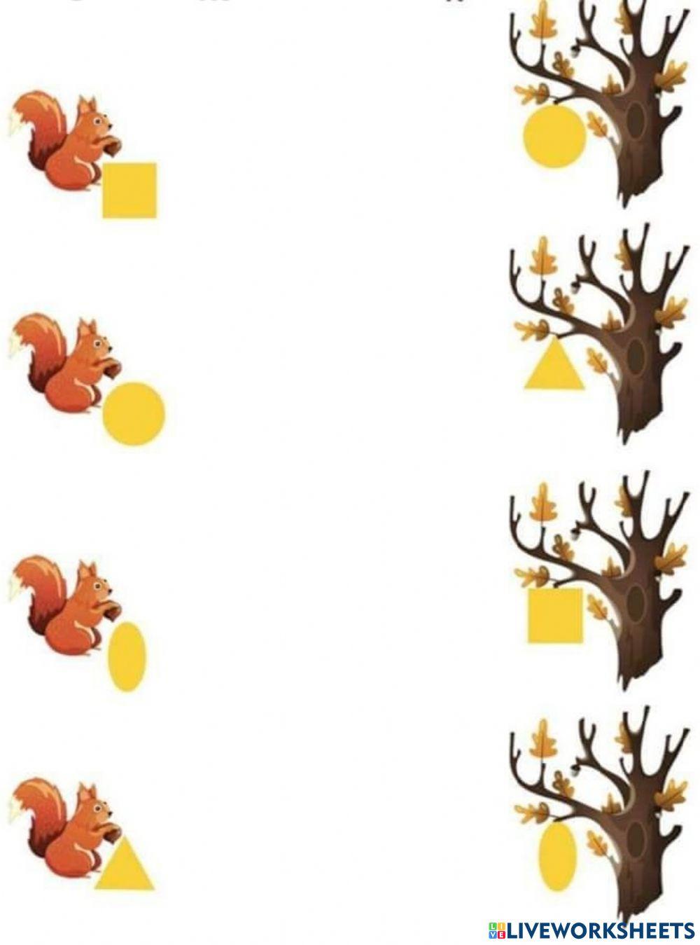 Veverita- forme geometrice (du veverița la copacul potrivit))