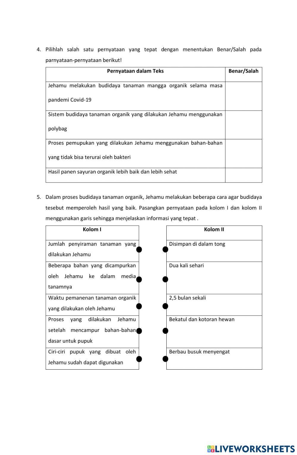 Soal Latihan AKM Literasi 3