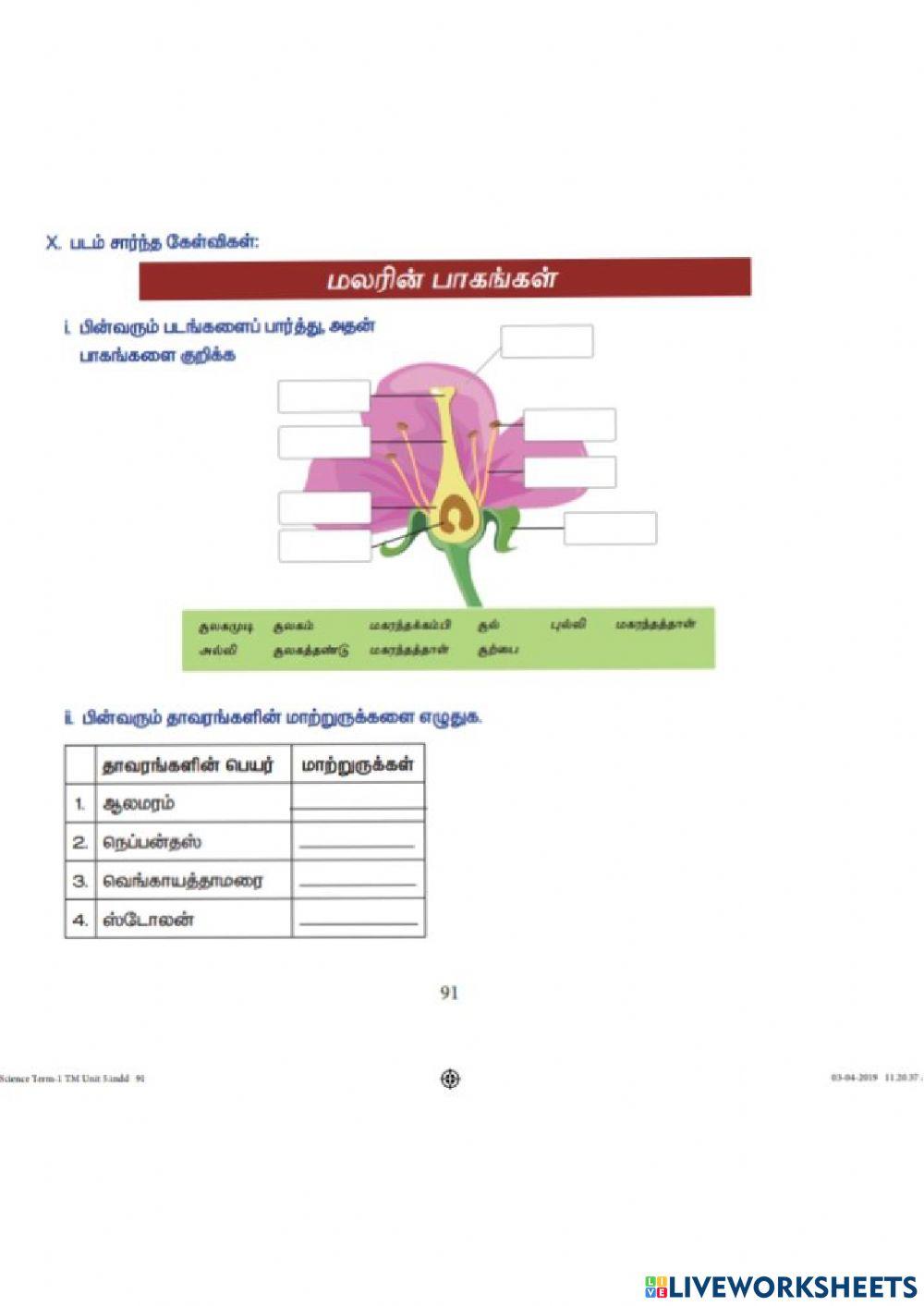 7th Science Term-I Unit-5