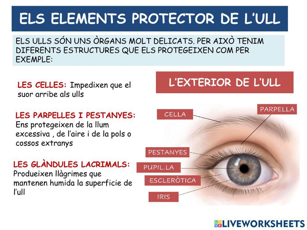 La funció de relacio