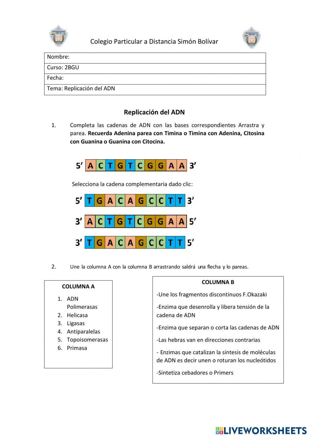 Replicación del ADN