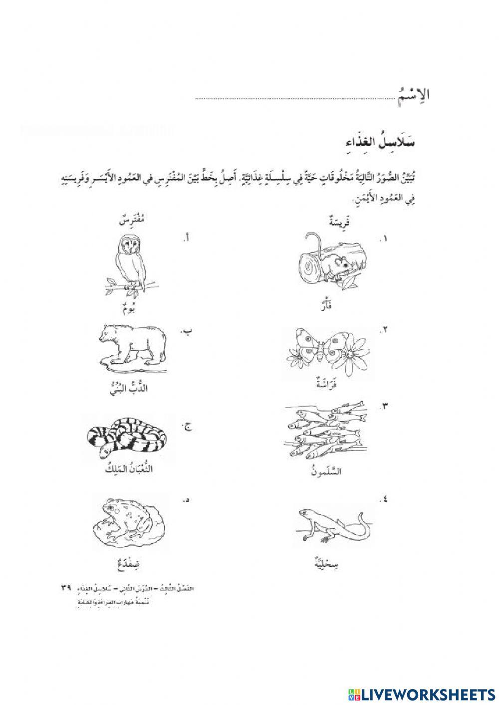 سلاسل الغذاء