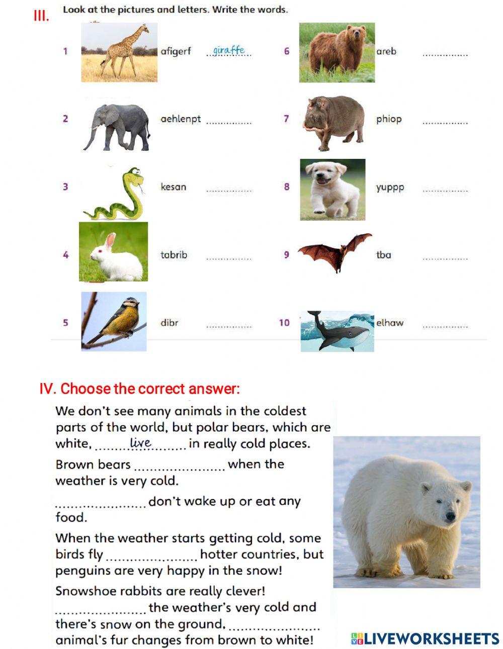 Grade 3 Movers Review Unit 1-7