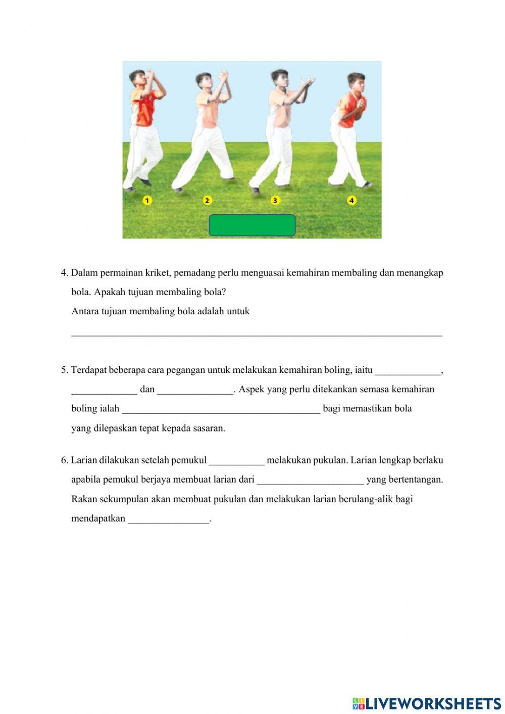 PJPK T2: Unit 5: Kriket