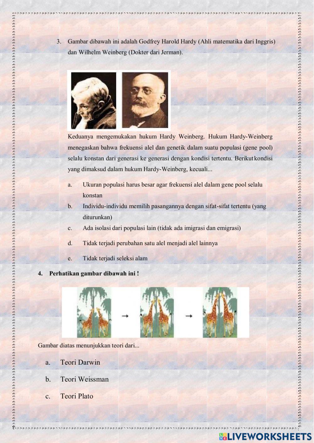 Lkpd bab evolusi kelas xii ipa 1