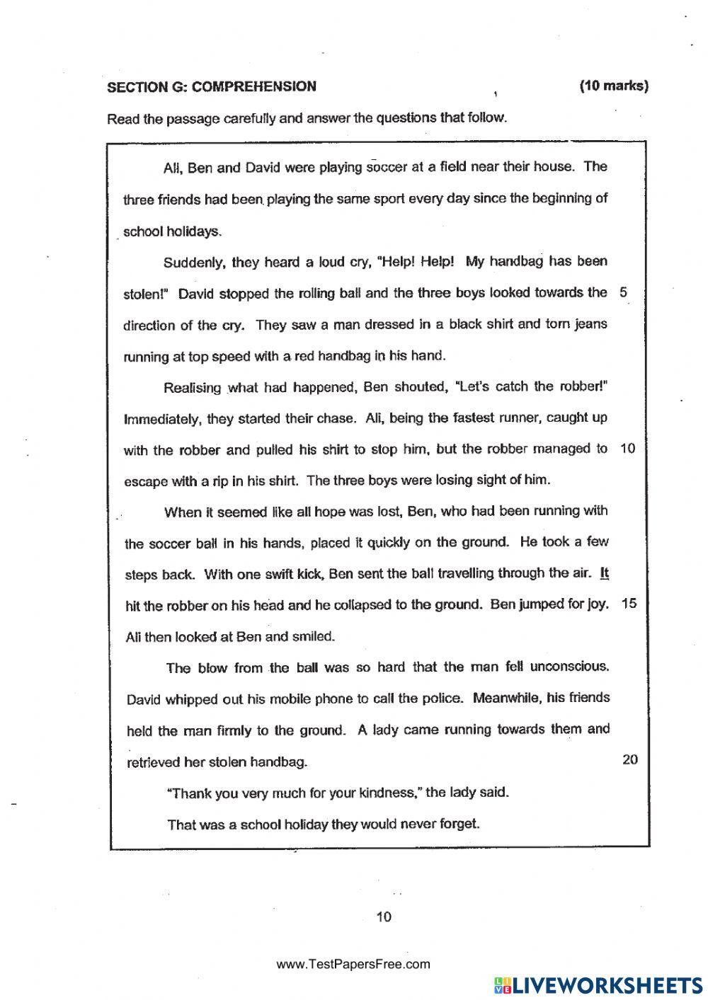 Reading Comprehension 3