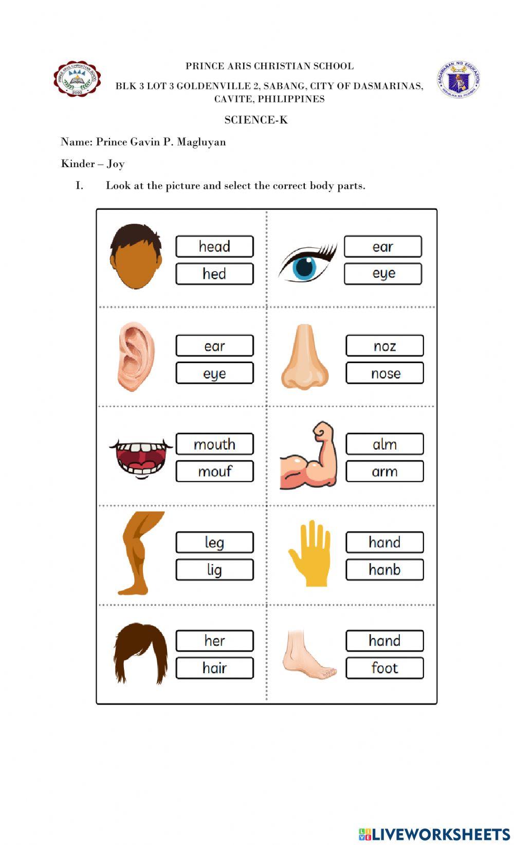 Science - k unit test