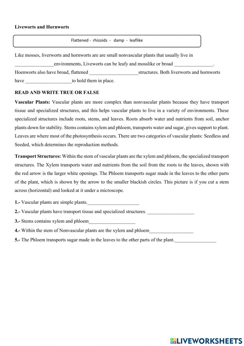 Vascular and Nonvascualr Plants