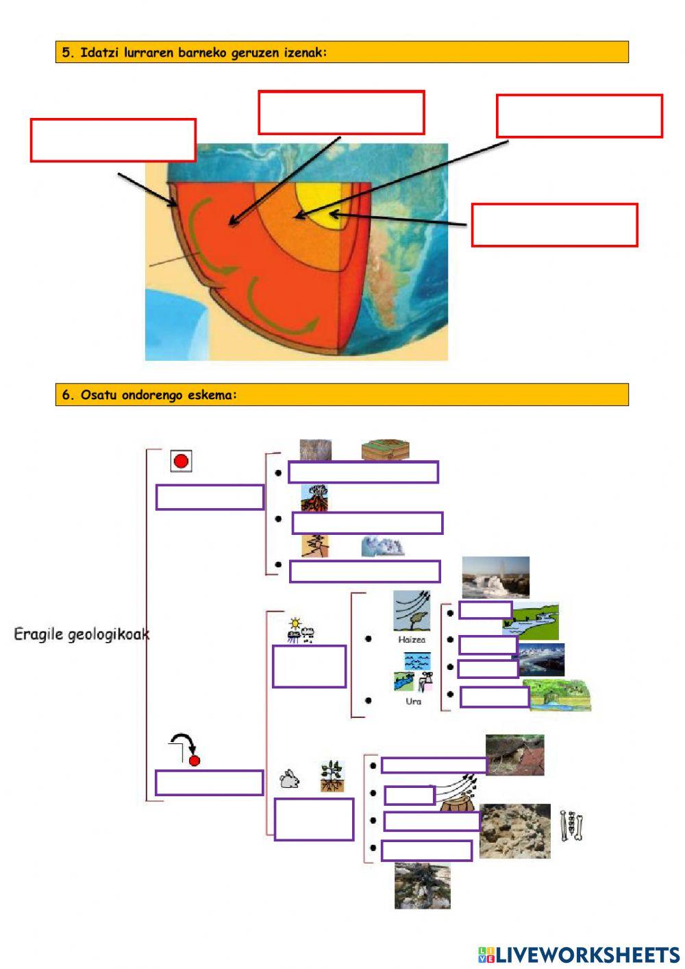 Txanela: bilakatu zen bizigai