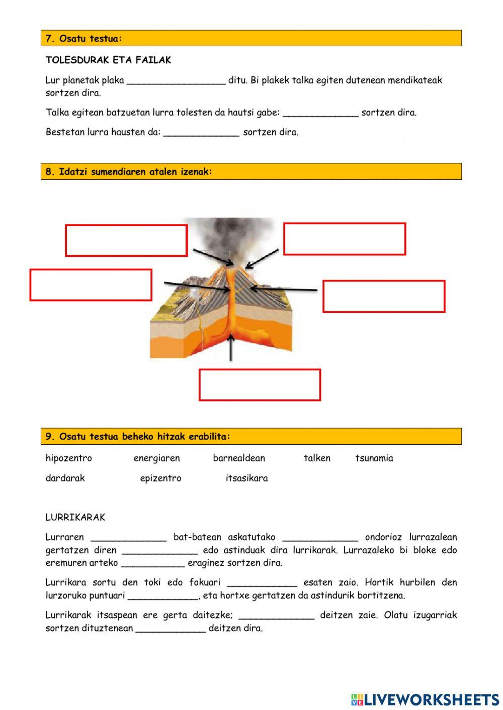 Txanela: bilakatu zen bizigai