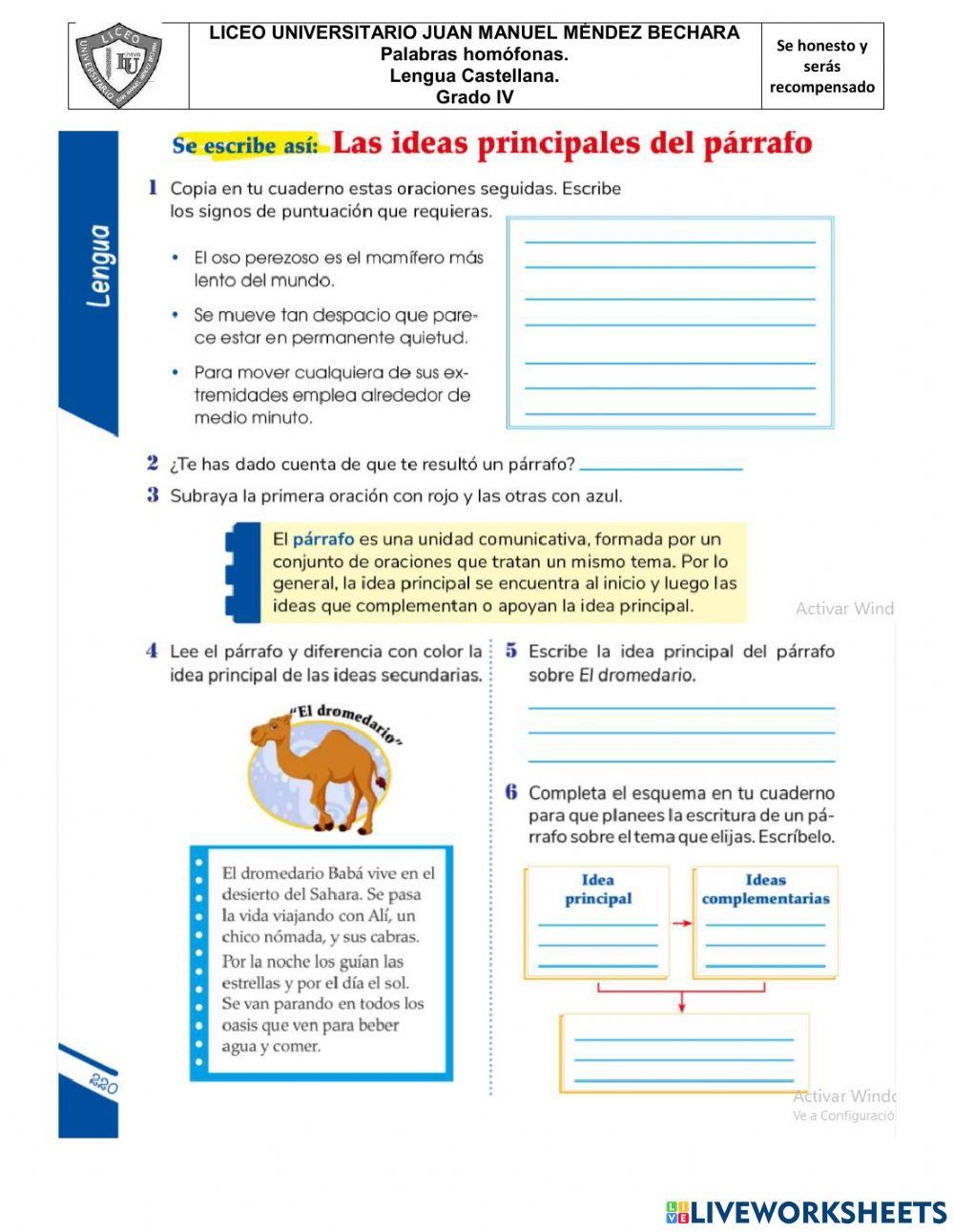 Ideas principales en un párrafo