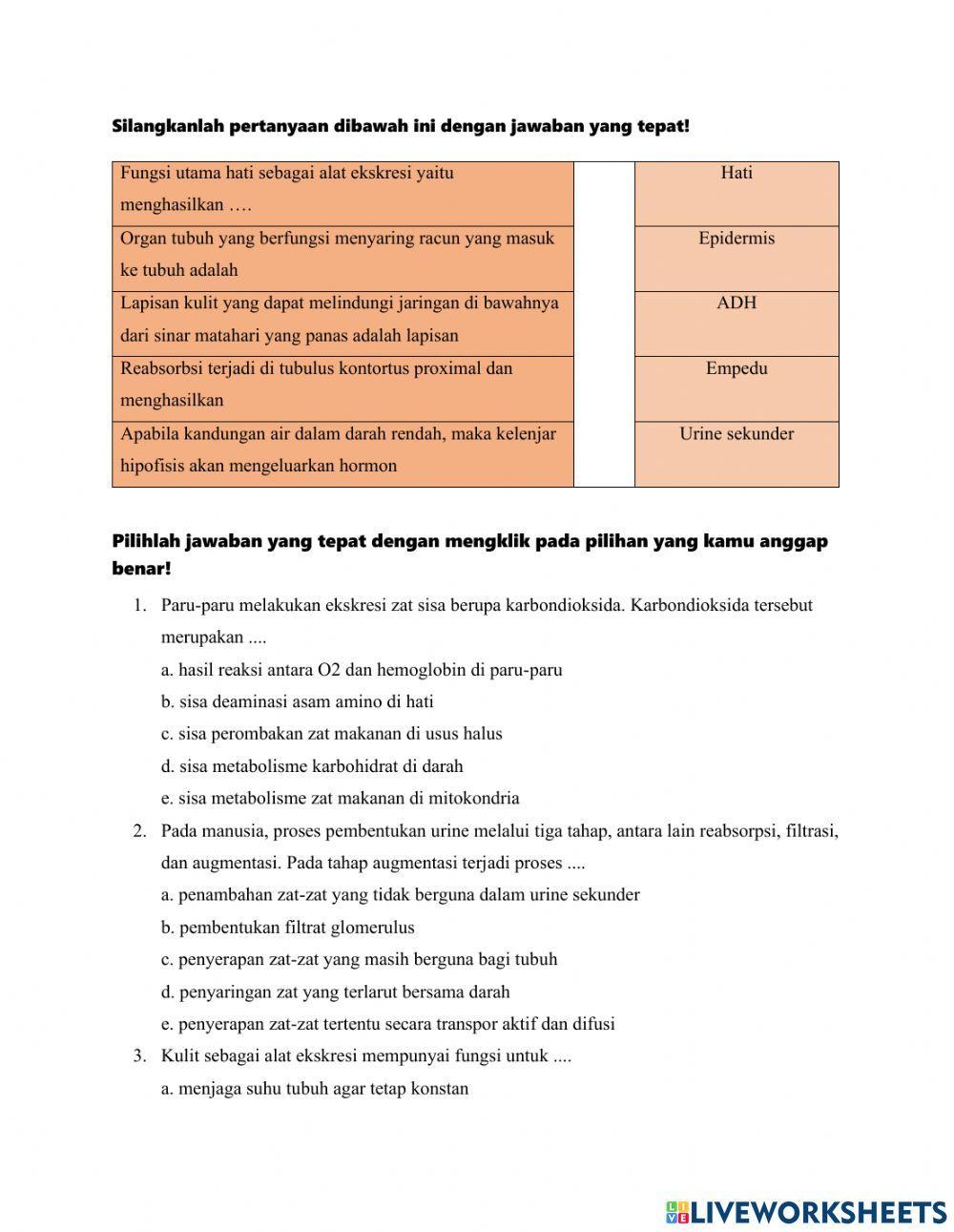 Lkpd sistem ekskresi