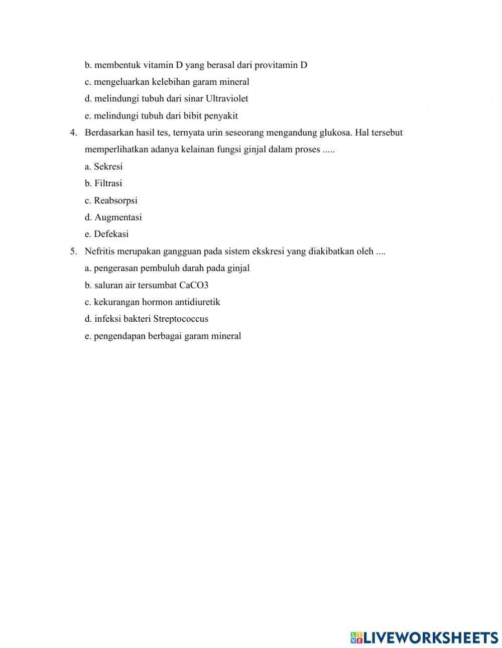 Lkpd sistem ekskresi