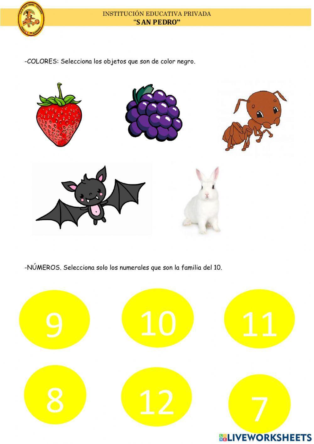 Examen de matemática 1