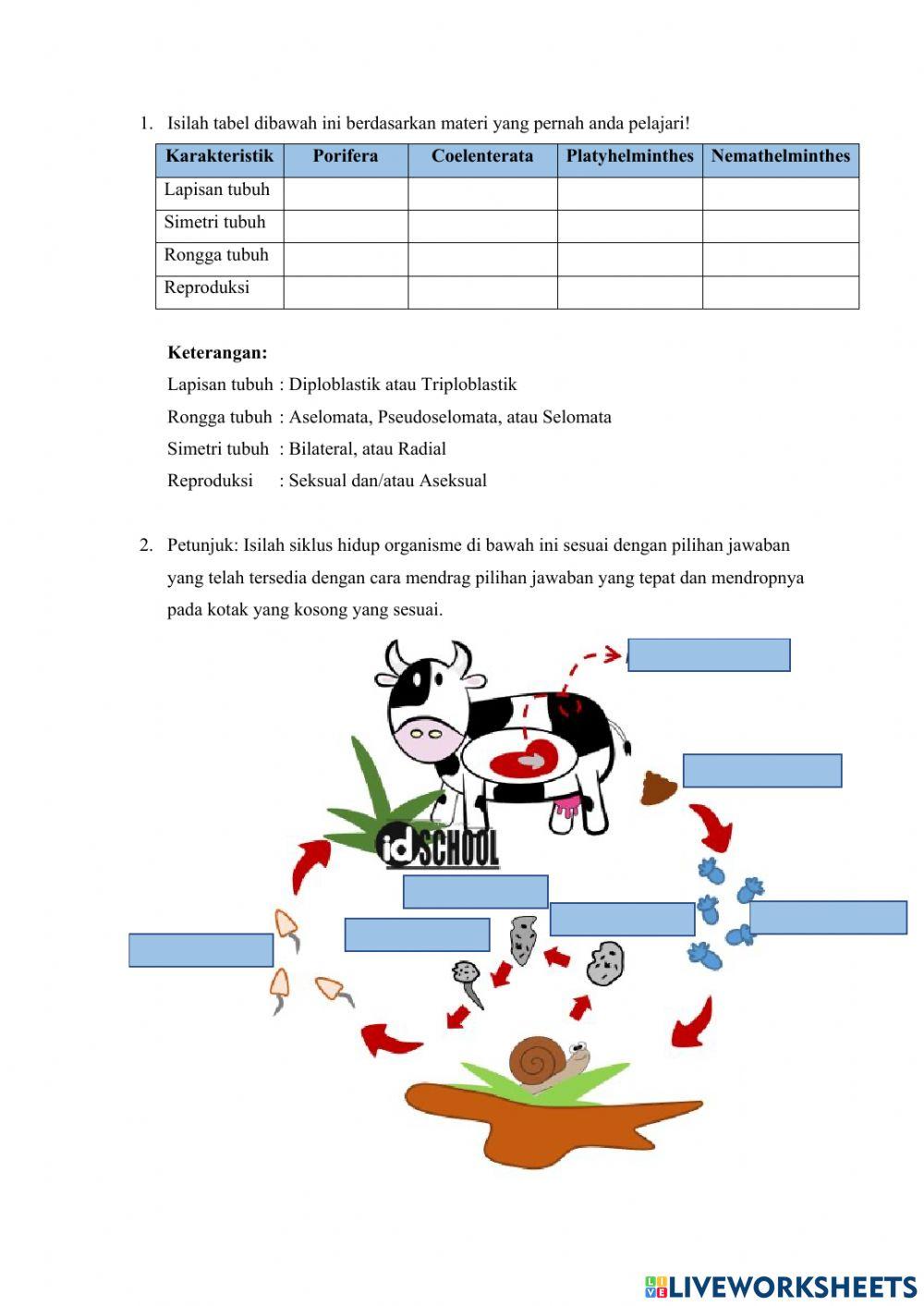 Lkpd Animalia