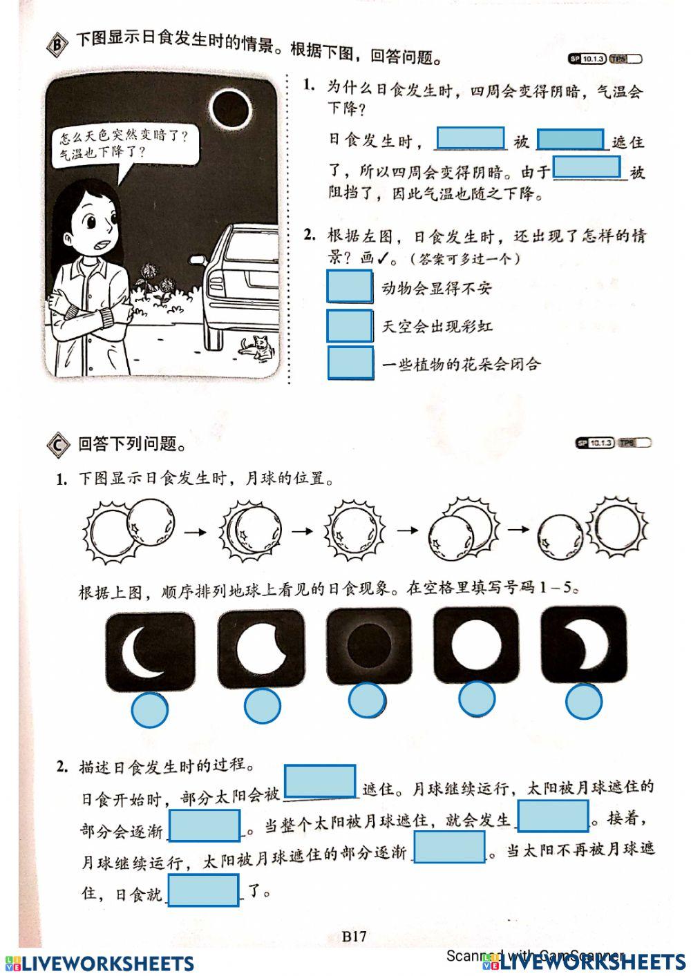 六年级科学日食