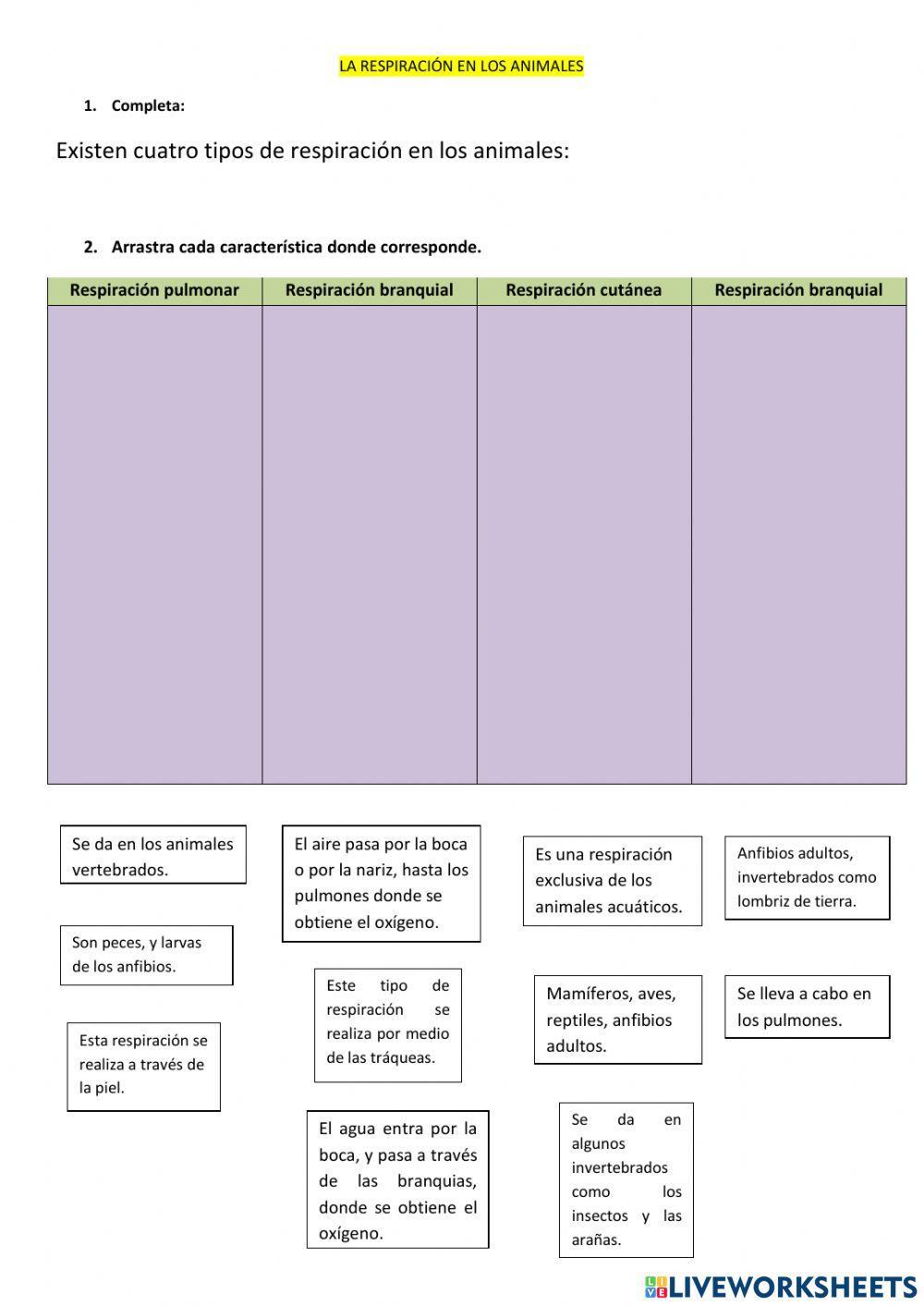 Funciones vitales de los seres vivos