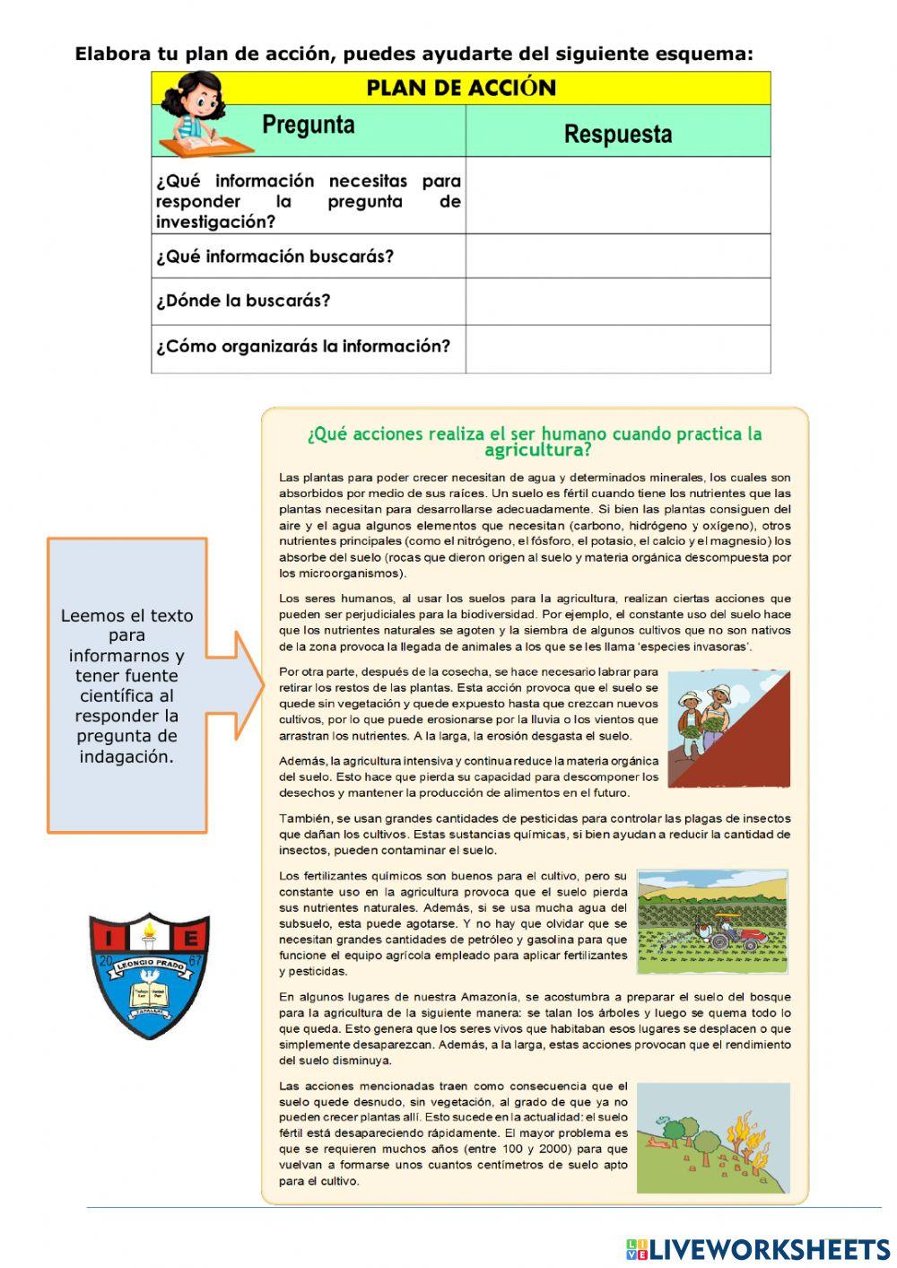 ¿Es posible preparar el suelo para los cultivos sin afectar la biodiversidad?