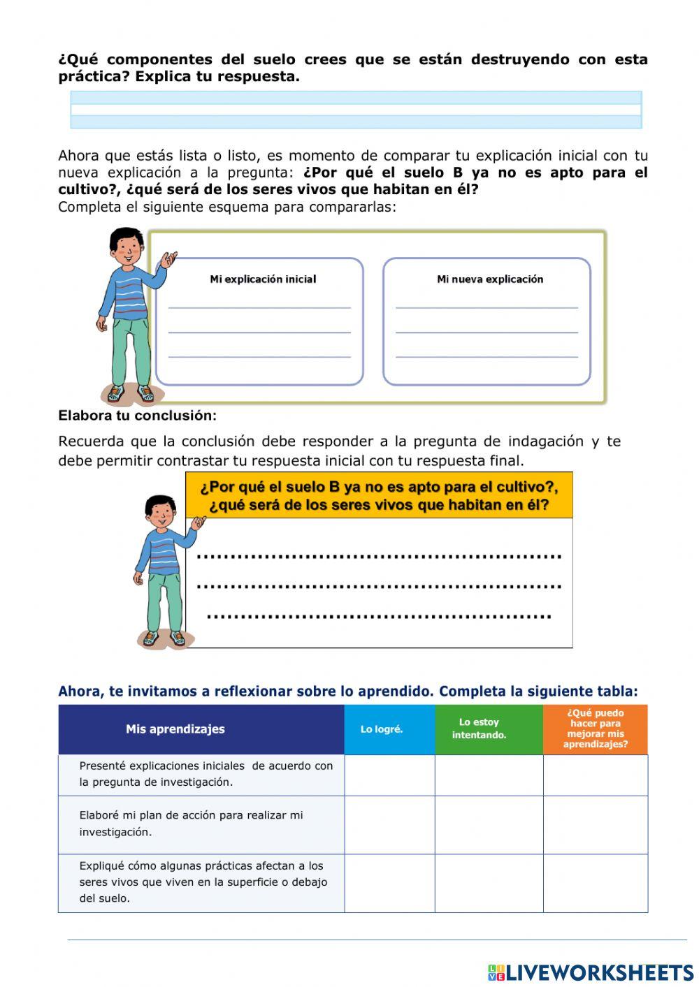 ¿Es posible preparar el suelo para los cultivos sin afectar la biodiversidad?