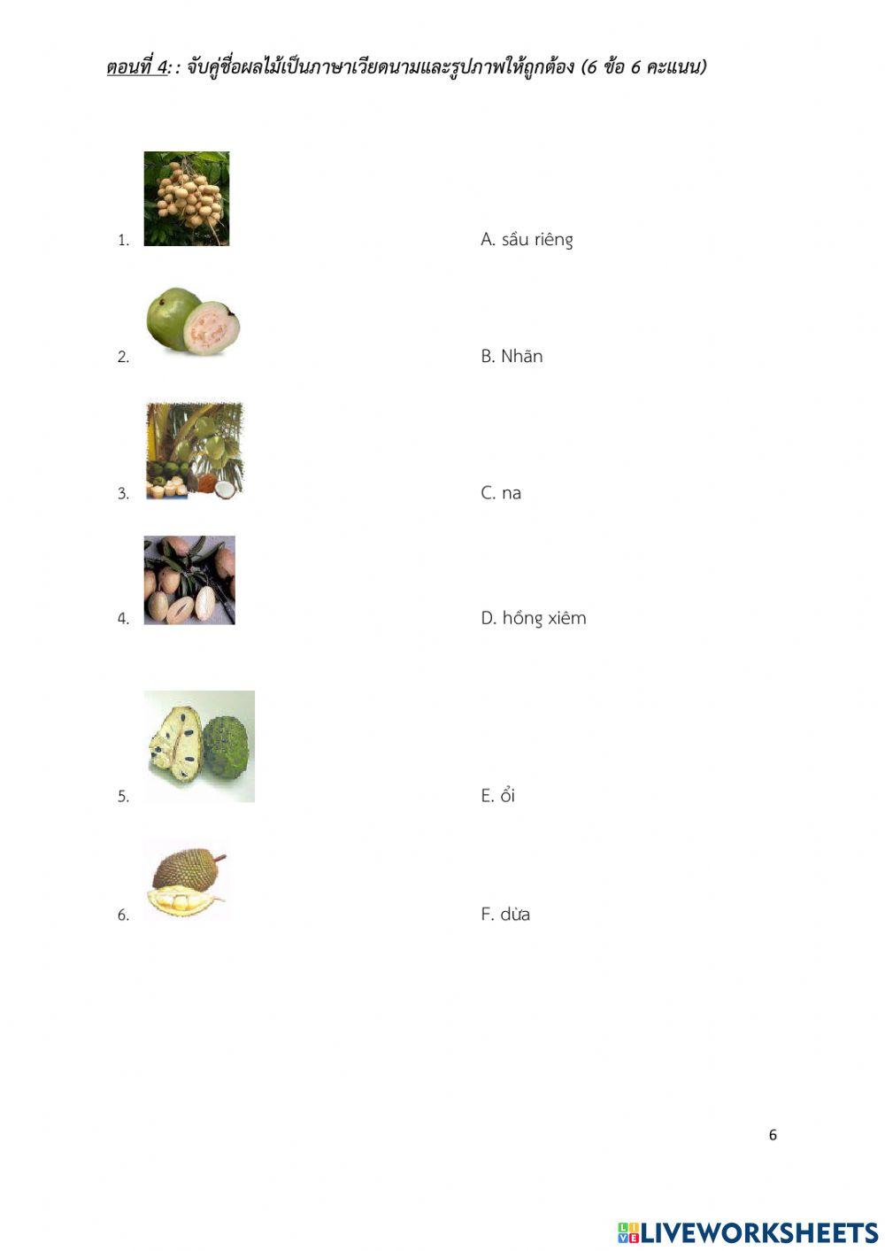 ข้อสอบกลางภาคฟังและพูดภาษาเวียดนาม 1