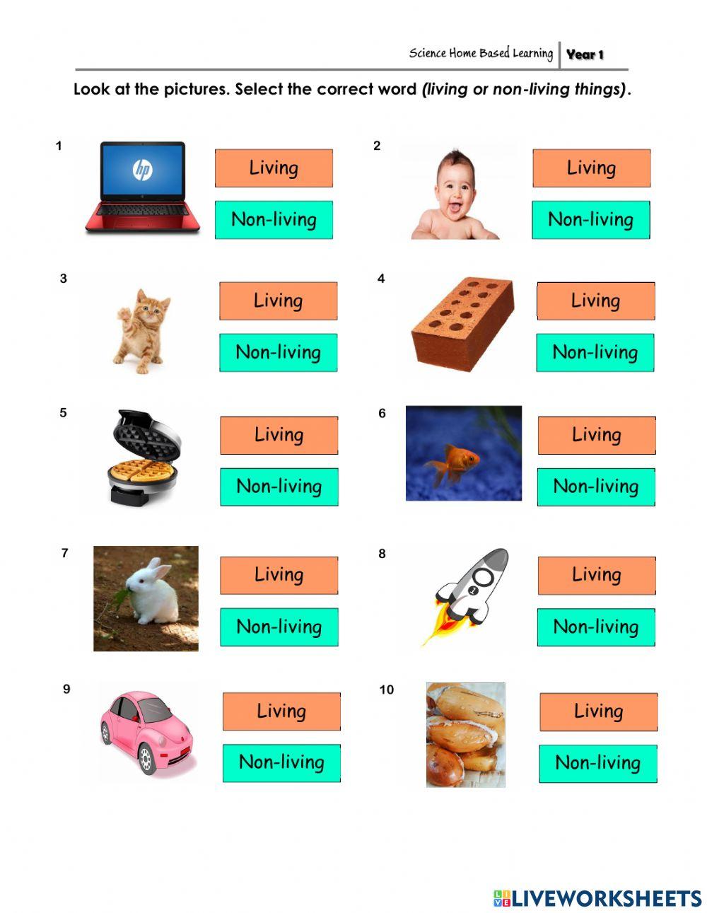 living-or-non-living-things-1566773-teacher-srhd-live