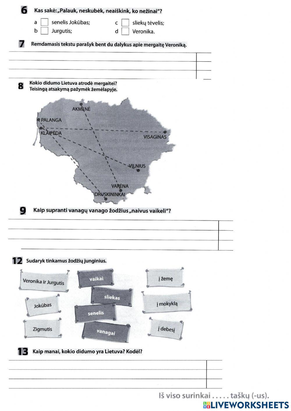Testo suvokimo testas Nr.2