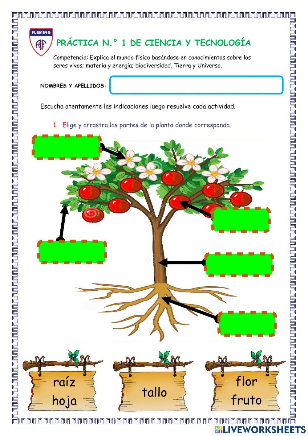 Práctica de Ciencia