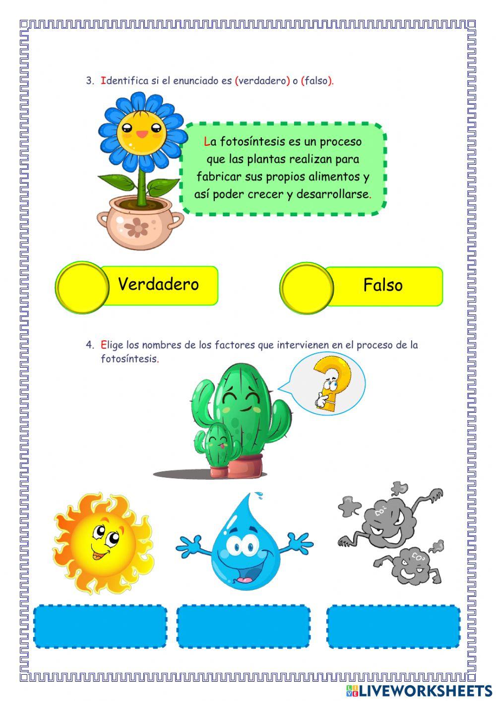 Práctica de Ciencia