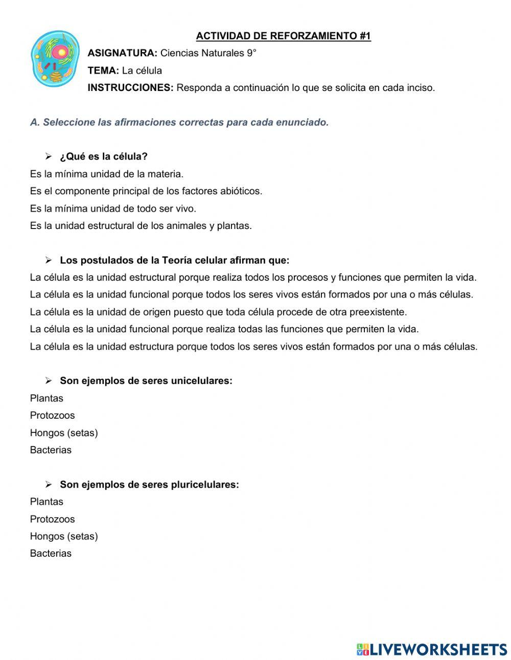 La célula y sus organelos La célula y sus organelos