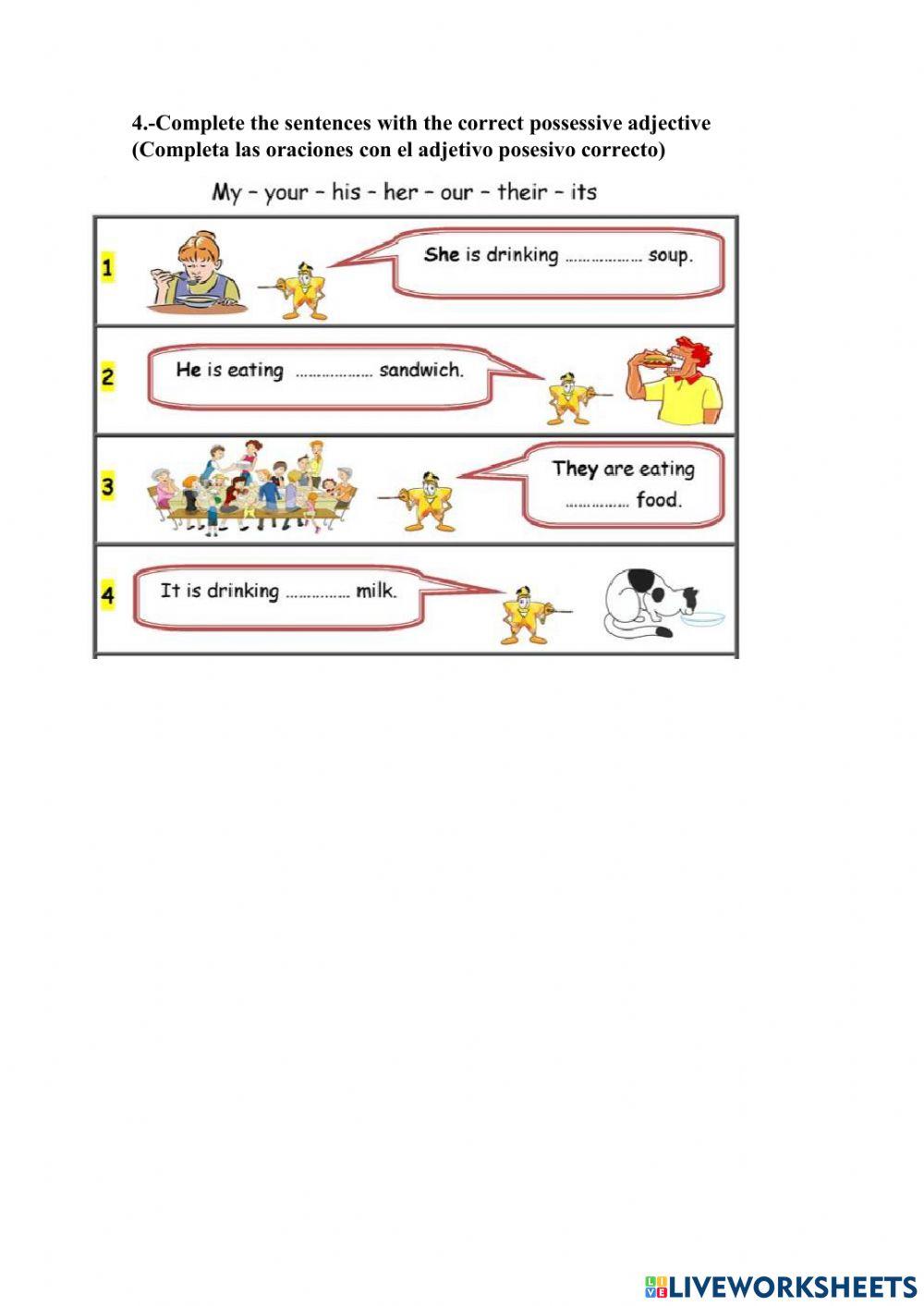 Adjectives possessive